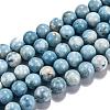 Natural Gemstone Beads Strands G-L367-01-6mm-4