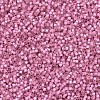 MIYUKI Delica Beads SEED-X0054-DB0625-3