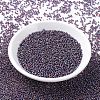 MIYUKI Round Rocailles Beads X-SEED-G007-RR1013-2