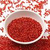 Glass Seed Beads X-SEED-S042-04B-10-2