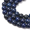 Round Dyed & Natural Lapis Lazuli Gemstone Bead Strands G-J333-05-8mm-5