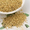 MIYUKI Delica Beads SEED-MY11-DB0031-1