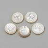 Natural Freshwater Shell Beads SHEL-Q011-P-2