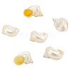 Natural Conch Decorations SSHEL-WH0001-40-1