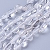 Natural Quartz Crystal Beads Strands G-P433-21-3