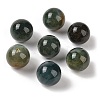 Natural Indian Agate No Hole Sphere Beads G-K353-04C-09-1