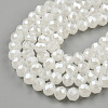Electroplate Glass Beads Strands EGLA-A034-J6mm-A08-2