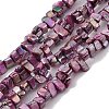 Natural Freshwater Shell Beads Strands BSHE-H018-07F-1