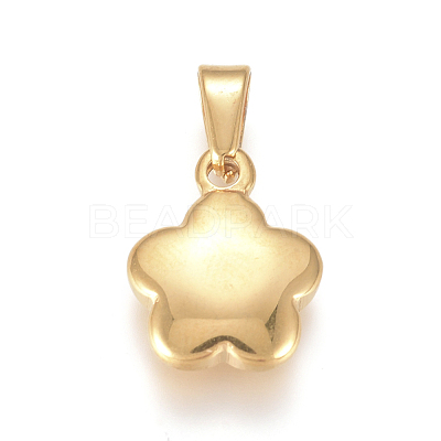 304 Stainless Steel charms STAS-I127-005G-01-1