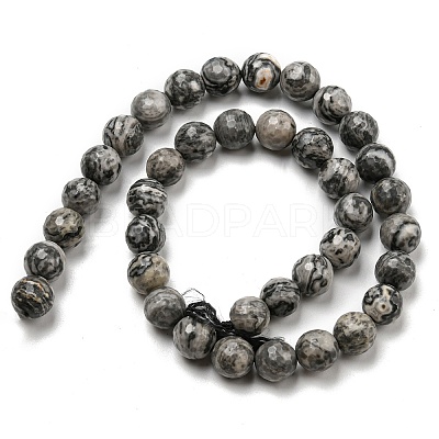 Natural Map Stone/Picasso Stone/Picasso Jasper Beads Strands G-C079-B05-03-1