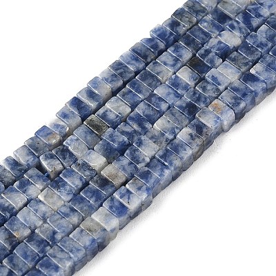 Natural Blue Spot Jasper Beads Strands G-I394-A08-1