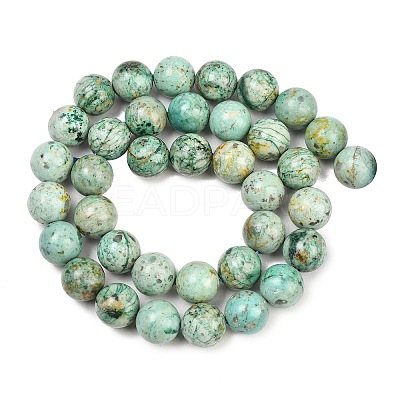 Natural Peruvian Turquoise(Jasper) Beads Strands G-F836-A02-10mm-1