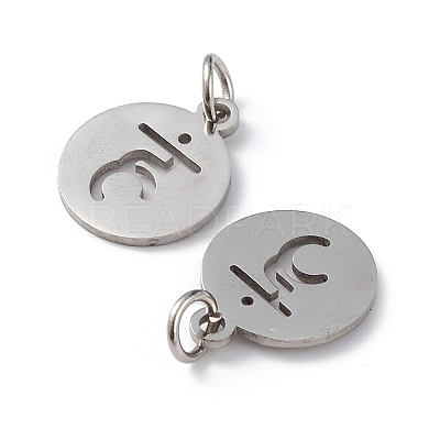 Non-Tarnish 304 Stainless Steel Charms STAS-Q201-T450P-1
