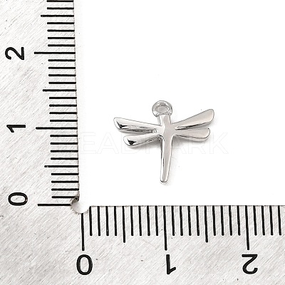 Brass Micro Pave Clear Cubic Zirconia Charms CU-CBA3D76-03P-01-1