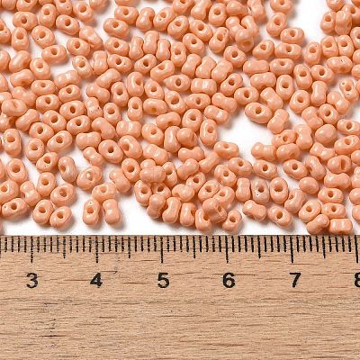Baking Paint Glass Seed Beads SEED-K009-01B-13-1