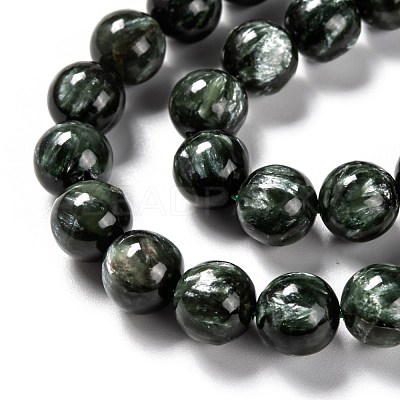Natural Seraphinite Beads Strands G-E557-22B-1