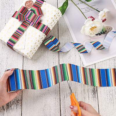 2Rolls 2 Styles Stripe Pattern Printed Polyester Grosgrain Ribbon OCOR-TA0001-37G-1