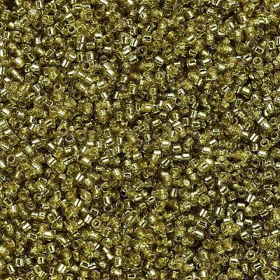 MIYUKI Delica Beads SEED-MY11-DB2164-1