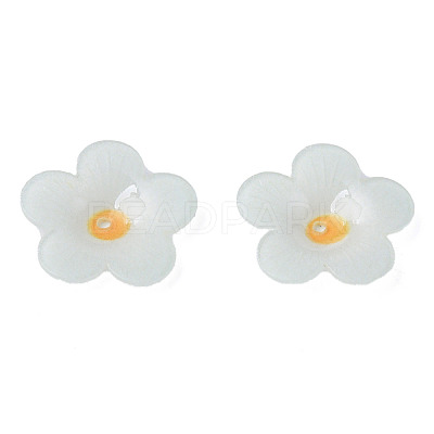 Plastic Beads KY-N015-173-1