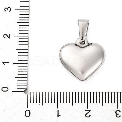 304 Stainless Steel Pendants STAS-P278-01F-P-1-1