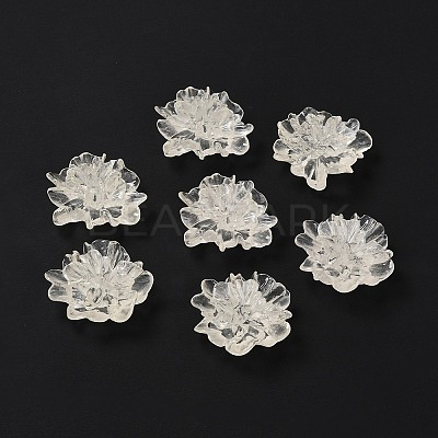 Transparent Resin Cabochons X-RESI-G027-01A-1