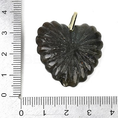 Natural Labradorite Carved Pendants G-C276-01G-06-1