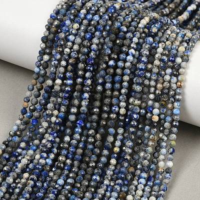 Natural Lapis Lazuli Beads Strands G-L629-B01-3mm-04-1