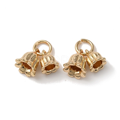 Rack Plating Brass Charms KK-C020-02LG-1