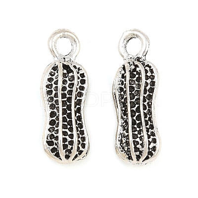 Tibetan Style Alloy Pendants AL-CBAAECB-01AS-A-1