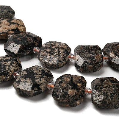 Natural Snowflake Obsidian Beads Strands G-H078-B22-01-1