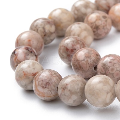 Natural Maifanite/Maifan Stone Beads Strands G-P451-01A-B-1