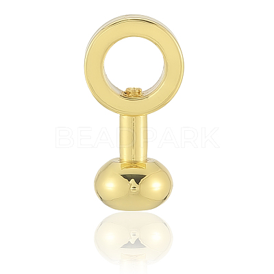 5Pcs Brass Zipper Insert Buckles FIND-SP0004-11G-1