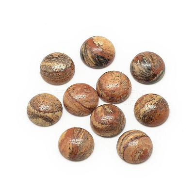 Natural Picture Jasper Cabochons G-R416-16mm-42-1