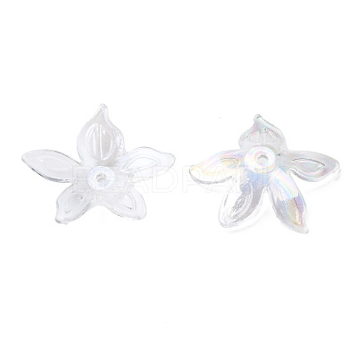 Transparent Acrylic Beads MACR-S373-102-C07-1