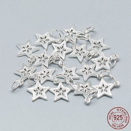 925 Sterling Silver Charms STER-T002-298S-1