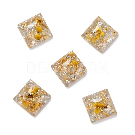 Transparent Resin Cabochons CRES-P019-02B-1