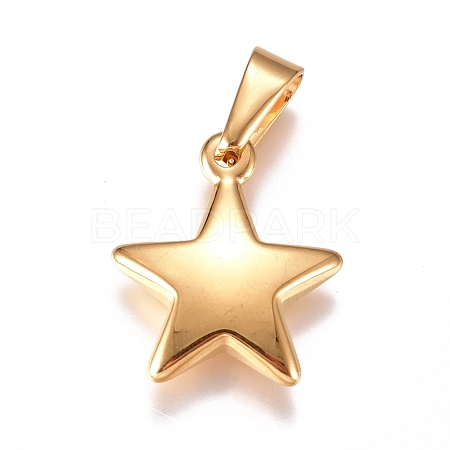 304 Stainless Steel Pendants X-STAS-I135-25G-1