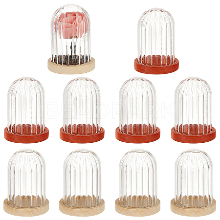  10Pcs Mini Glass Cloche Dome Covers DJEW-NB0001-24A-1
