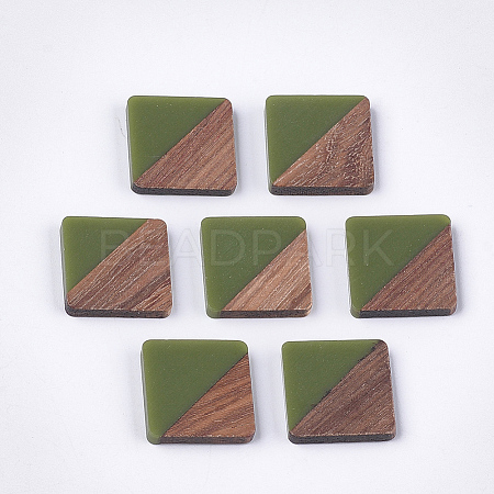 Resin & Walnut Wood Cabochons LS-RESI-S358-A-90C-1