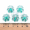 Transparent Acrylic Beads TACR-S154-19A-68-4