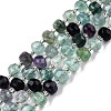 Natural Fluorite Beads Strands G-N327-08U-1