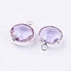 Silver Color Plated Brass Glass Flat Round Charms GLAA-M003-A-12S-2