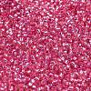 TOHO Round Seed Beads SEED-TR15-2106-2