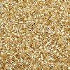 Glass Bugle Beads SEED-S032-08A-22-3