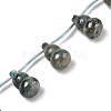Electroplate Natural Hemimorphite Beads Strands G-U012-A04-2