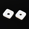Natural Freshwater Shell Beads BSHE-T014-16-2