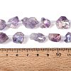 Electroplate Raw Rough Natural Amethyst Beads Strands G-Q610-06F-5