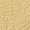 MIYUKI Delica Beads SEED-X0054-DB1287-3