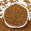 8/0 Baking Paint Glass Seed Beads X1-SEED-M012-02A-51-2