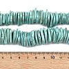 Natural Howlite Beads Strands G-A302-A01-01-6
